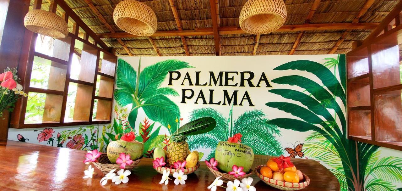 Palmera Palma Top Floor Moalboal Eksteriør bilde